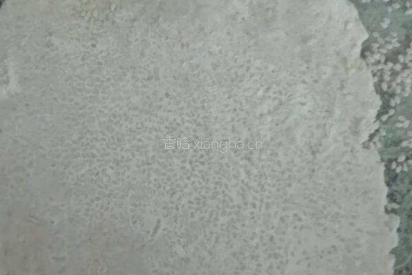 米锅巴的做法图解5