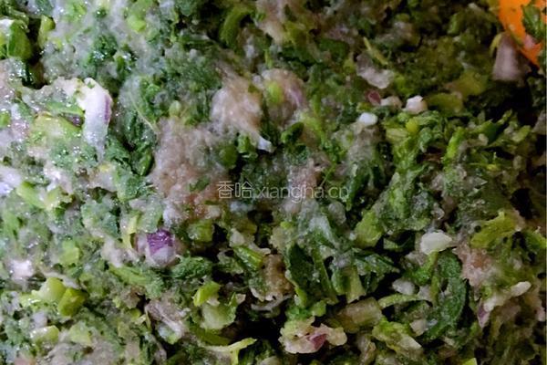 荠菜猪肉馅的做法图解14