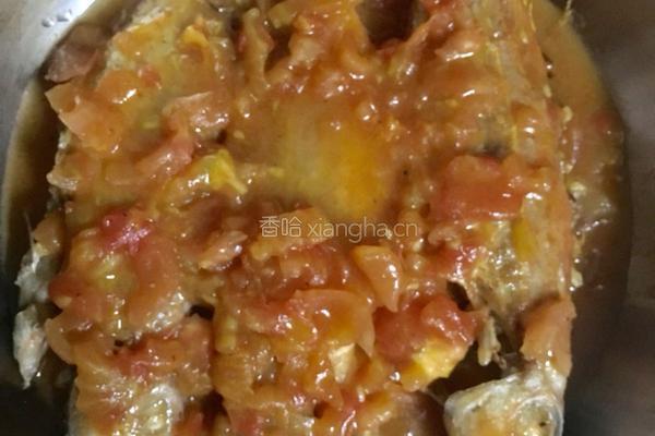 蕃茄红衫鱼的做法图解8