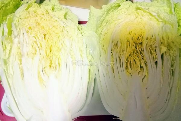韩式辣白菜的做法图解2