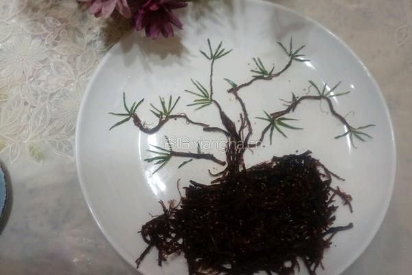 麻辣牛肉丝的做法图解9