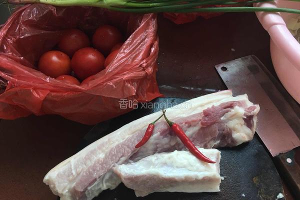 红烧肉焖春笋的做法图解5