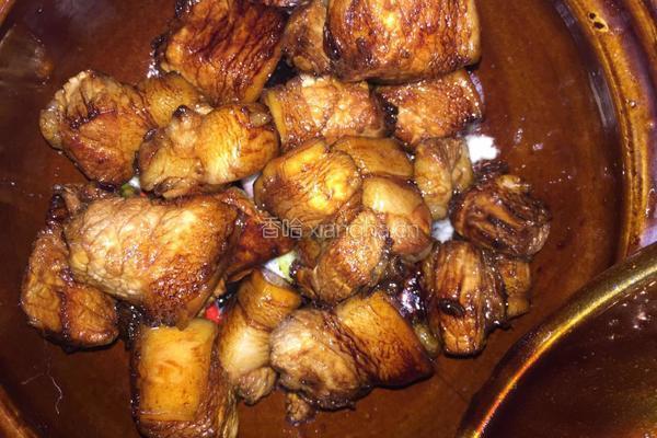 红烧肉焖春笋的做法图解15