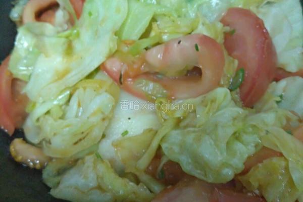 蕃茄大头菜的做法图解7