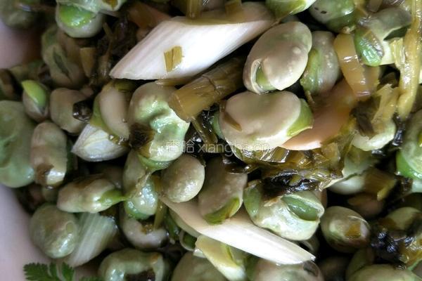 豌豆炒酸菜的做法图解7