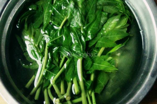 香椿拌豆腐的做法图解3