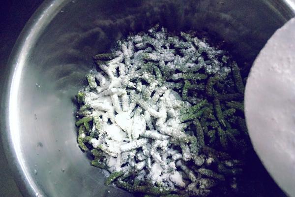 蒸毛毛虫的做法图解5