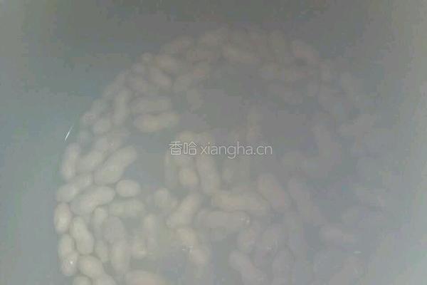 盐水花生的做法图解4