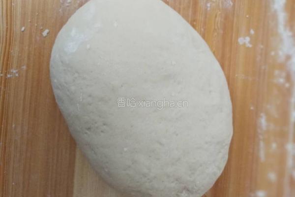超级美味肉夹馍的做法图解15