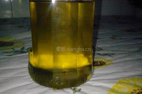 怎样榨材料油的做法图解7