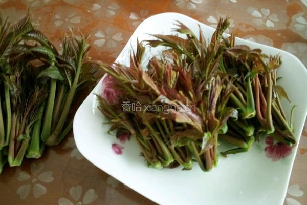 两种吃法香椿拌豆腐的做法图解7
