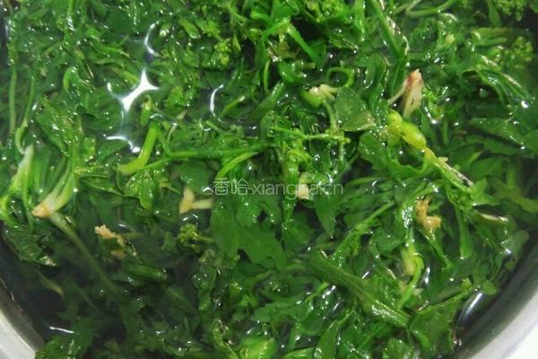 荠荠菜饺子的做法图解1