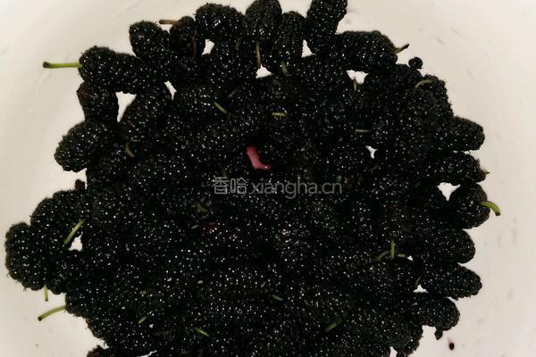 桑椹果汁的做法图解1