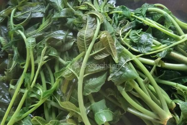 香椿拌蒜苔的做法图解2