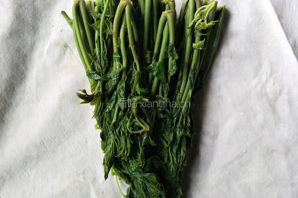 香椿拌蒜苔的做法图解4