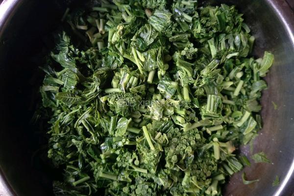 香椿拌蒜苔的做法图解6