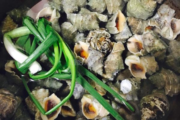 大葱花肉爆海石螺的做法图解2