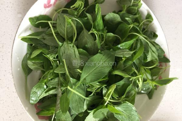荆芥炒千张的做法图解1