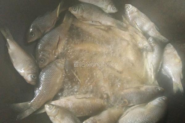 辣椒炒小鱼的做法图解5