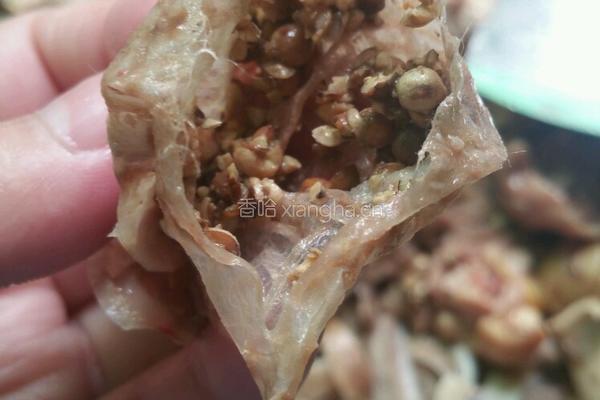 胡椒猪肚鸡的做法图解16
