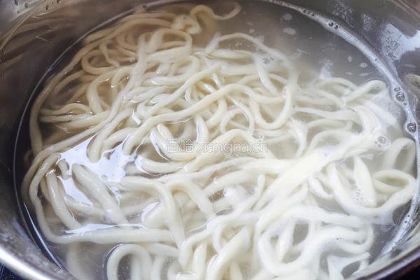油泼扯面的做法图解9