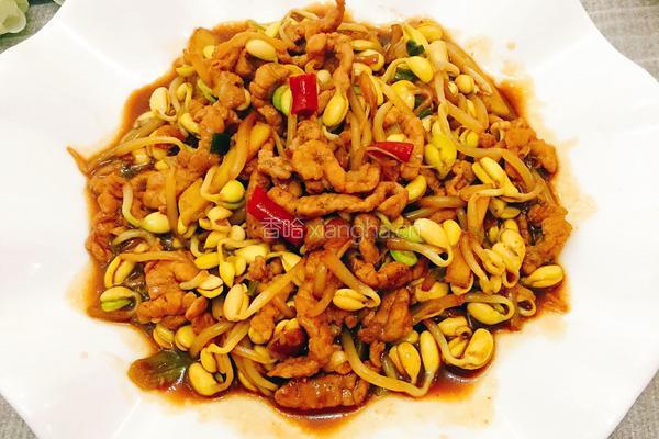 黄豆芽炒肉的做法图解13