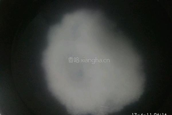 松花蛋瘦肉粥的做法图解2