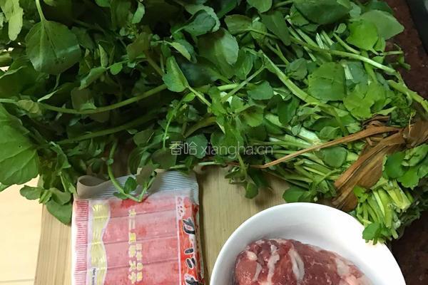 西洋菜汤的做法图解1
