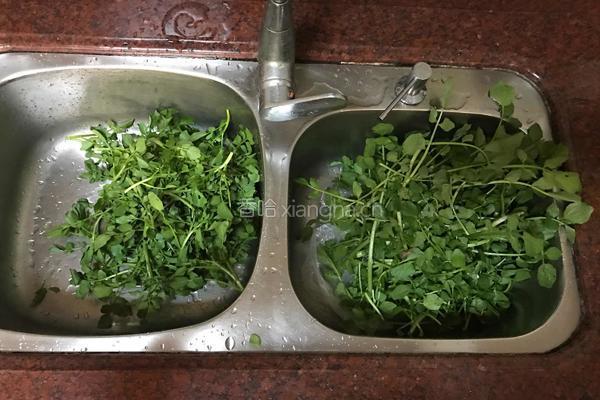 西洋菜汤的做法图解3