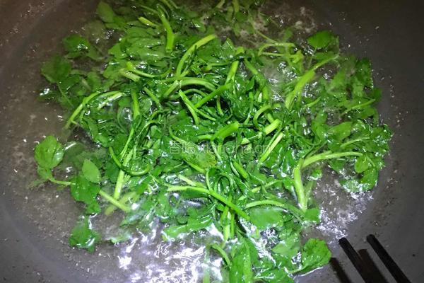 西洋菜汤的做法图解10
