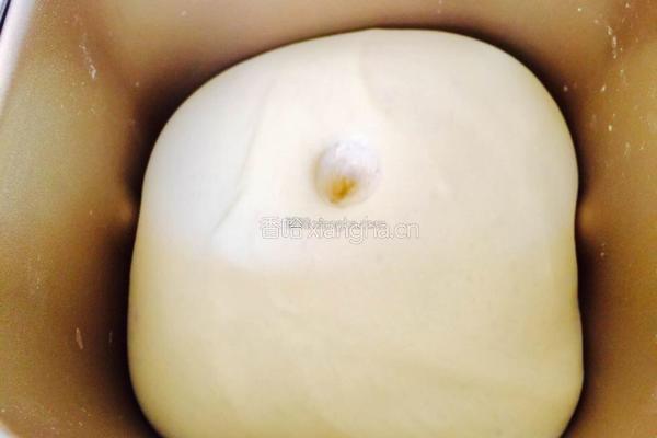 奶香蜜豆椰蓉包的做法图解6