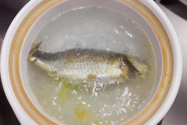 鲫鱼豆腐汤的做法图解6