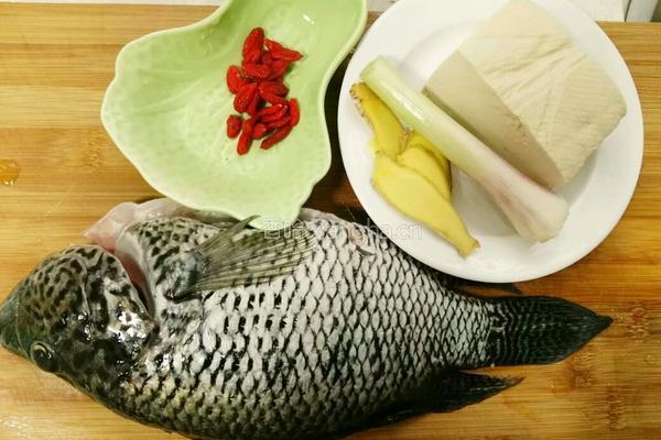 石斑鱼豆腐汤的做法图解1
