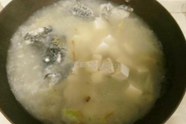 石斑鱼豆腐汤的做法图解7