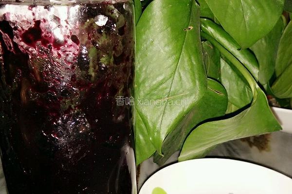 桑椹果酱的做法图解5
