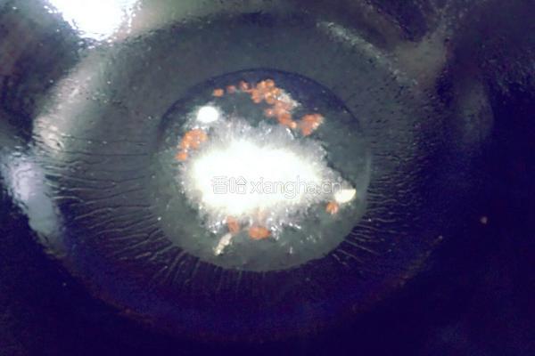 香菇辣椒烧丸子的做法图解4