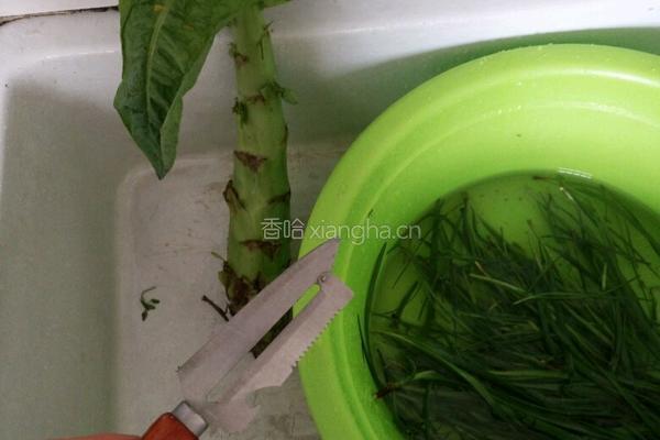韭菜炒莴苣的做法图解1