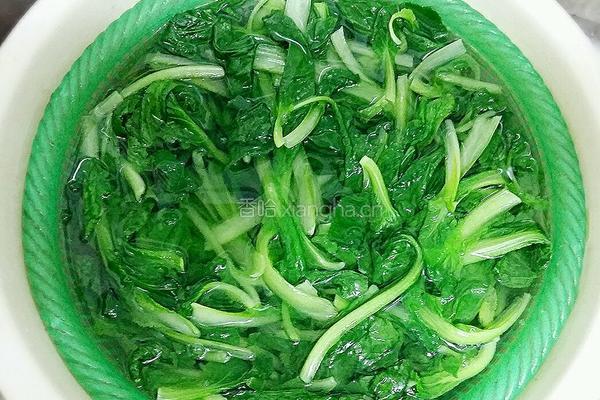 馄饨馅之青菜鲜肉的做法图解9