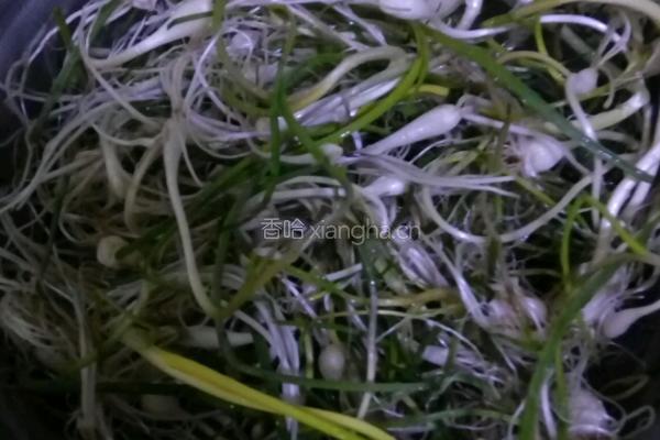 芊蔴蒜炒鸡蛋的做法图解2