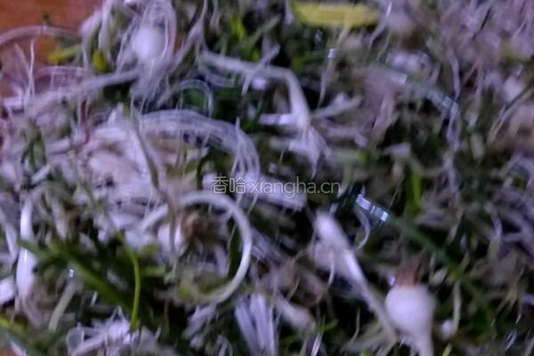 芊蔴蒜炒鸡蛋的做法图解4