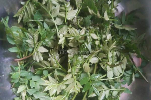 花椒芽拌豆腐的做法图解1