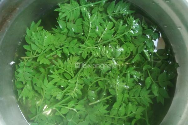 花椒芽拌豆腐的做法图解2