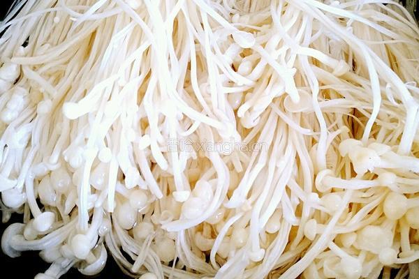 麻辣爽脆金针菇的做法图解4