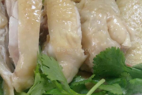 白切鸡的做法图解5