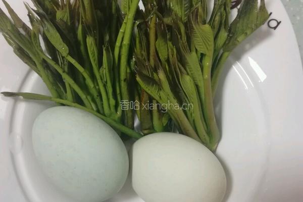 香椿煎鸡蛋的做法图解1