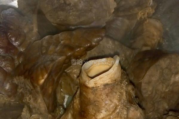 油爆猪肺子的做法图解3