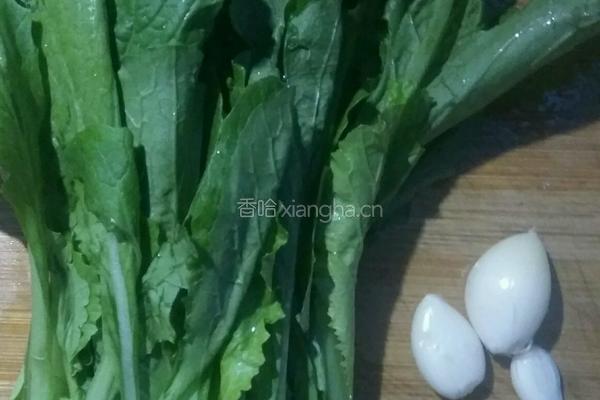蒜香小白菜的做法图解1