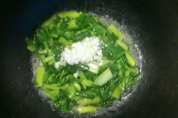 蒜香小白菜的做法图解5