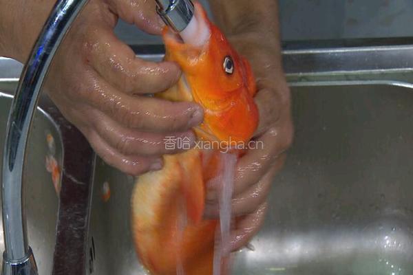 荷包红鲤鱼 CCTV7食尚大转盘的做法图解5