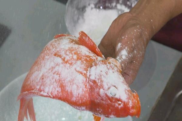 荷包红鲤鱼 CCTV7食尚大转盘的做法图解13